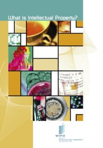 What is intellectual property