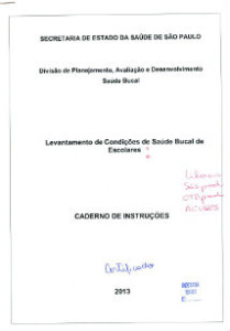 figura 21